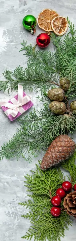 background pine tree to employee appreciation page