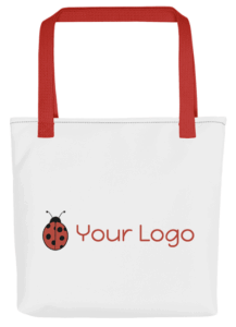 Company SWAG Bag for the beach